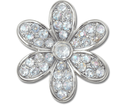 Silver Mnchrm Daisy 1