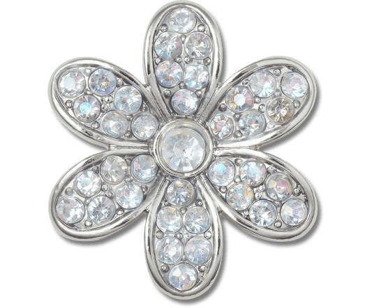 Silver Mnchrm Daisy 1