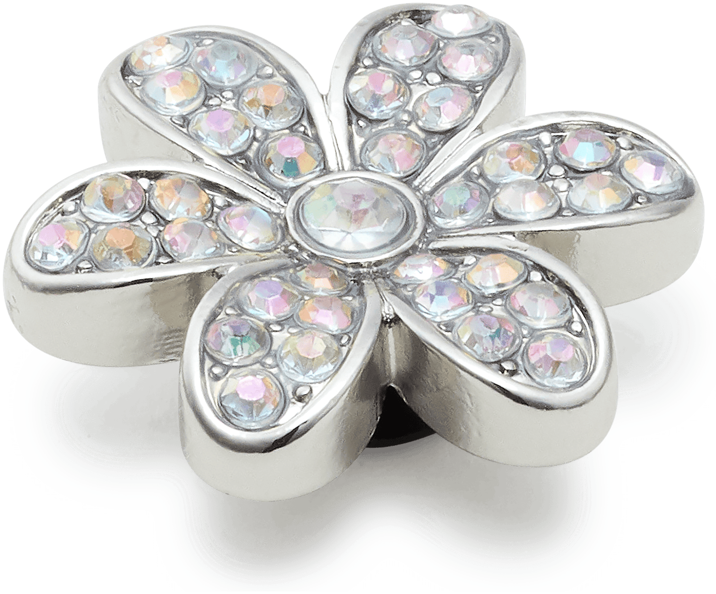 Silver Mnchrm Daisy 1