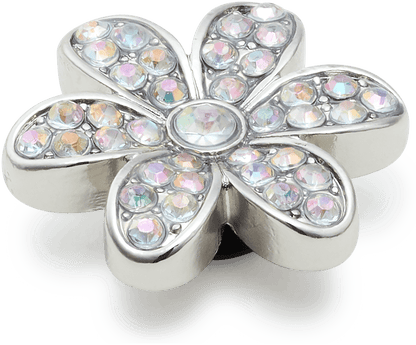 Silver Mnchrm Daisy 1