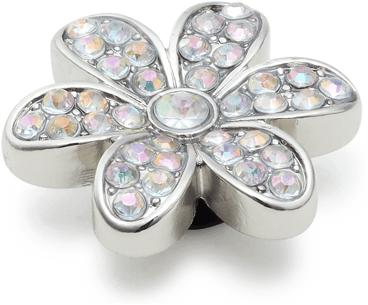 Silver Mnchrm Daisy 1