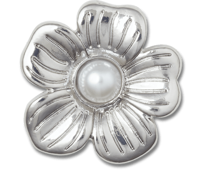 Silver Mnchrm Daisy 2