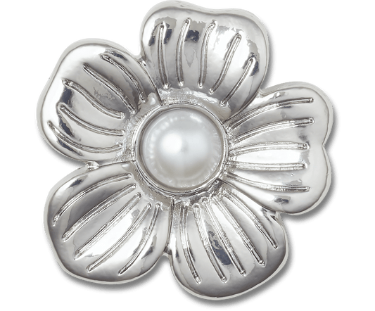 Silver Mnchrm Daisy 2