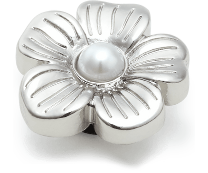 Silver Mnchrm Daisy 2